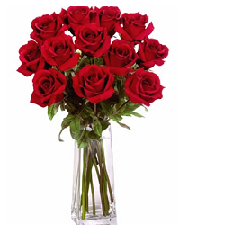 12 Long Stem Premium Rose Bouquet