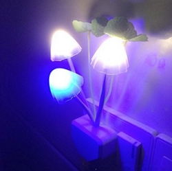 LED Night Light on the Wall for Bed Lamp Home