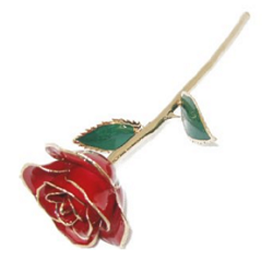 Foil Trim Rose, Best Gift for Valentine's Day